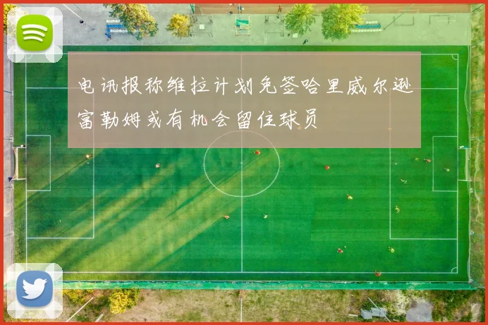 电讯报称维拉计划免签哈里威尔逊富勒姆或有机会留住球员